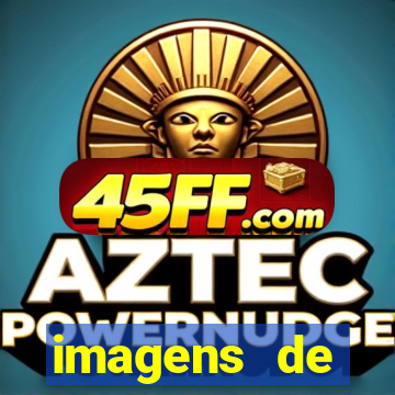 imagens de digitopuntura mori